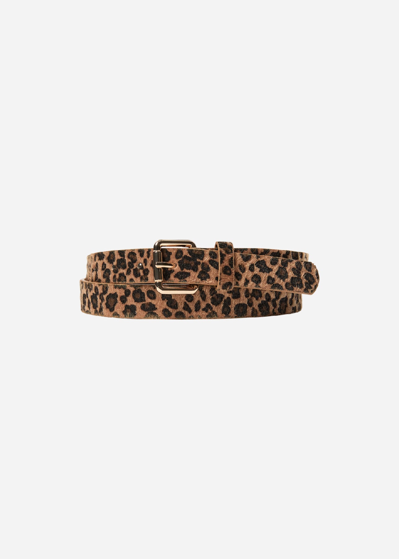 SC-SEYMA 1 Riem Zwart